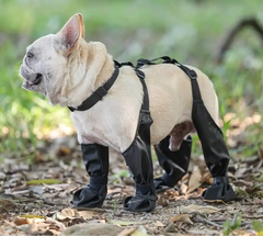 Waterproof Dog Boots with Harness Support by Snagg A Shoes