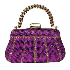 Exquisite Rhinestone Handle Evening Bag by Snagg It Purses