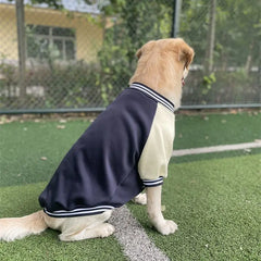 Warm Big Dog Baseball Jacket