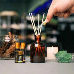 28 Bottle Master Aromatherapy Suite – 100% Pure Botanical Library with Targeted Synergy Blends