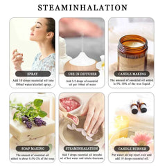 28 Bottle Master Aromatherapy Suite – 100% Pure Botanical Library with Targeted Synergy Blends