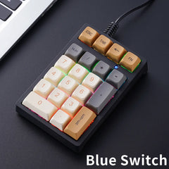 21 Key Numeric Keyboard with Multicolor Backlighting for Accounting & Finance Use by Snagg A Keyboard