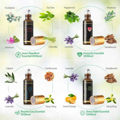 28 Bottle Master Aromatherapy Suite – 100% Pure Botanical Library with Targeted Synergy Blends