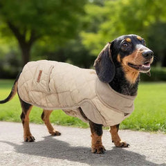 Diamond Quilted Dog Coat for Dachshunds – Water-Repellent Windproof Jacket for Short-Leg Breeds