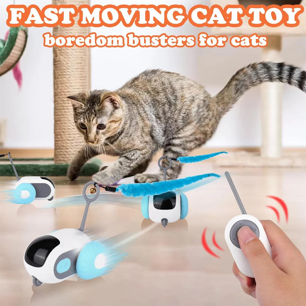 Smart Cat Toy Car by Snagg A Toy