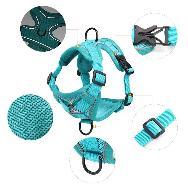 Reflective Cat & Dog Harness & Leash Set by Snagg A Harness