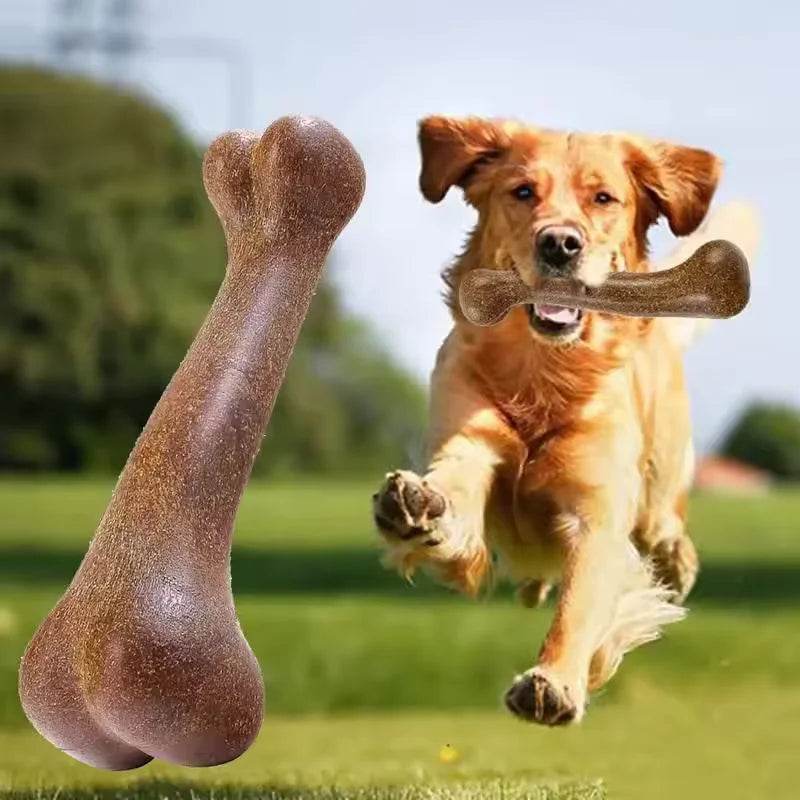 Durable Dog Bone Chew Toy - SnaggIt
