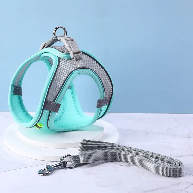 Escape Proof Cat Harness & Leash Set by Snagg A Harness