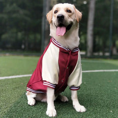 Warm Big Dog Baseball Jacket