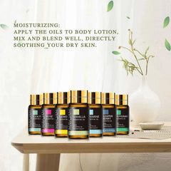 28 Bottle Master Aromatherapy Suite – 100% Pure Botanical Library with Targeted Synergy Blends