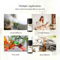 12 Piece Signature Fragrance Collection – Premium 5ml Aroma Diffusion Set for Home, Car & Crafting