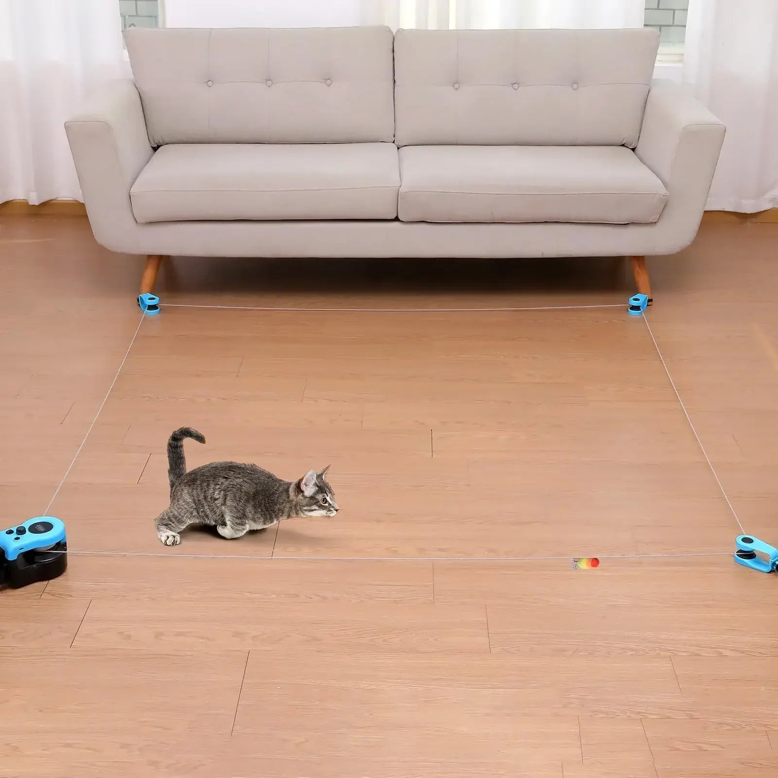 Interactive Cat Toy Wheel by Snagg A Toy