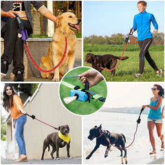 Durable Pet Waste Bag Dispenser | Compact & Eco Friendly Travel Container