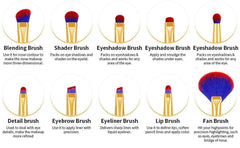 19 Piece Professional Makeup Brush Set – Egyptian Inspired Beauty Kit