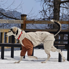 Winter Snow Guard 4 Legged Plush Dog Jacket