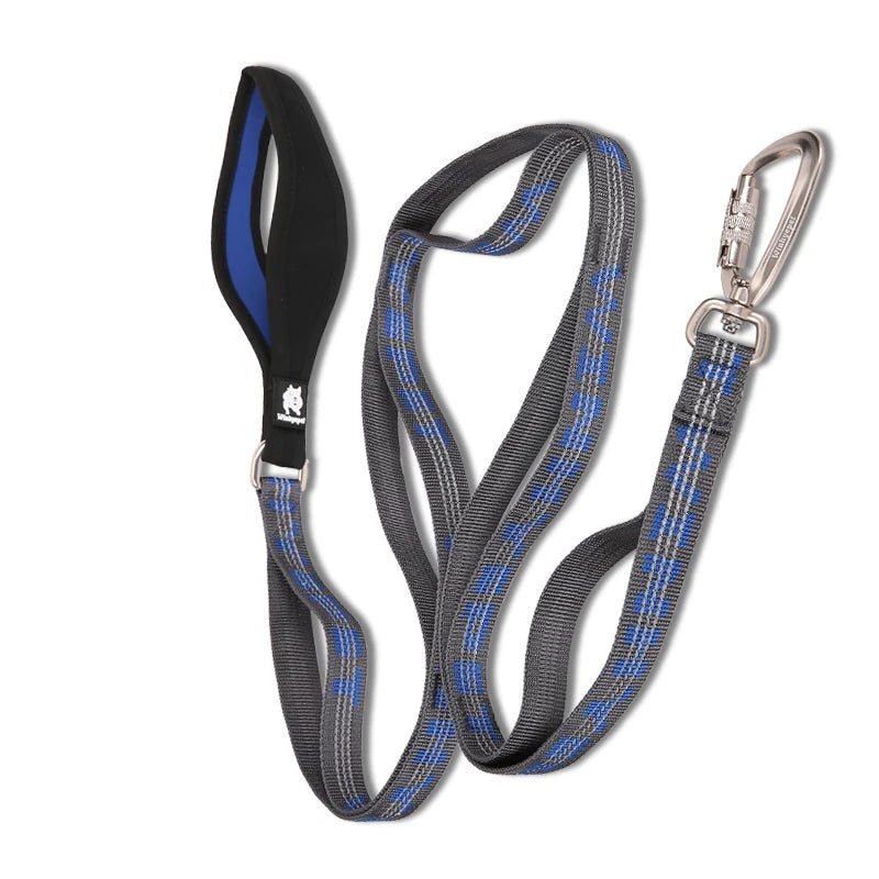 Heavy-Duty Reflective Dog Leash with Carabiner by Snagg A Leash
