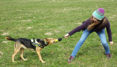 Dog Training Snack Bag by Snagg A Bag