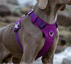 Lightweight Adjustable Dog Harness by Snagg A Harness
