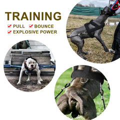 Adjustable Dog Weight Pulling Training Harness & Leash by Snagg A Harness