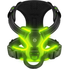 LED Luminous Dog Harness by Snagg A Harness