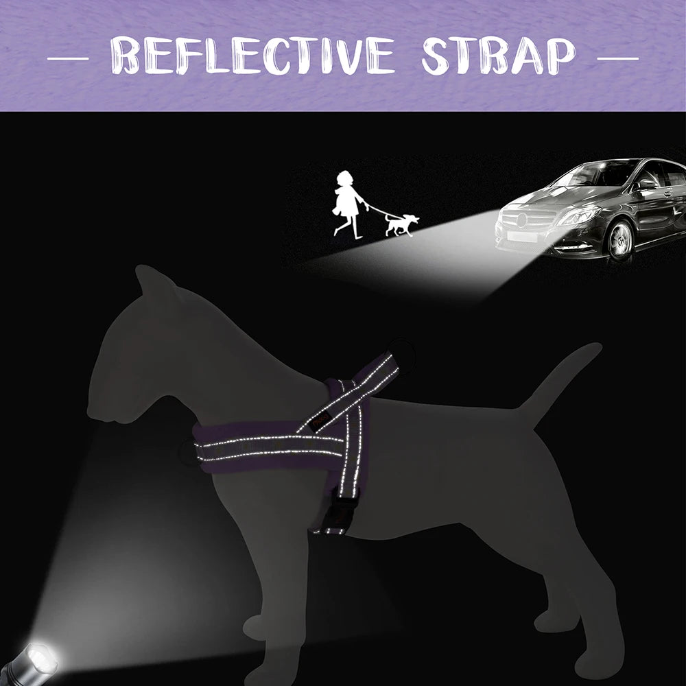 Floral Dog Harness – No Pull, Reflective & Warm by Snagg A Harness