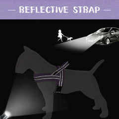 Floral Dog Harness – No Pull, Reflective & Warm by Snagg A Harness