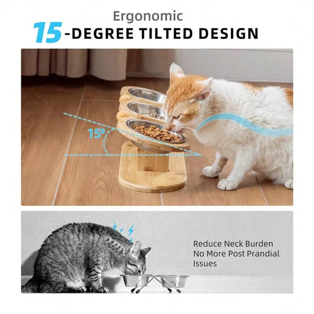 3 Elevated Tilted Cat Bowls - SnaggIt