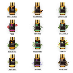 20 Bottle Master Essential Oil Collection – 100% Pure Botanical Library for Diffusion, Wellness & Artisanal Crafting