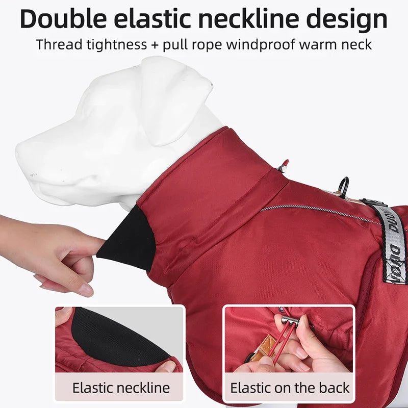 Winter Warm Windproof Dog Jacket by Snagg A Jacket