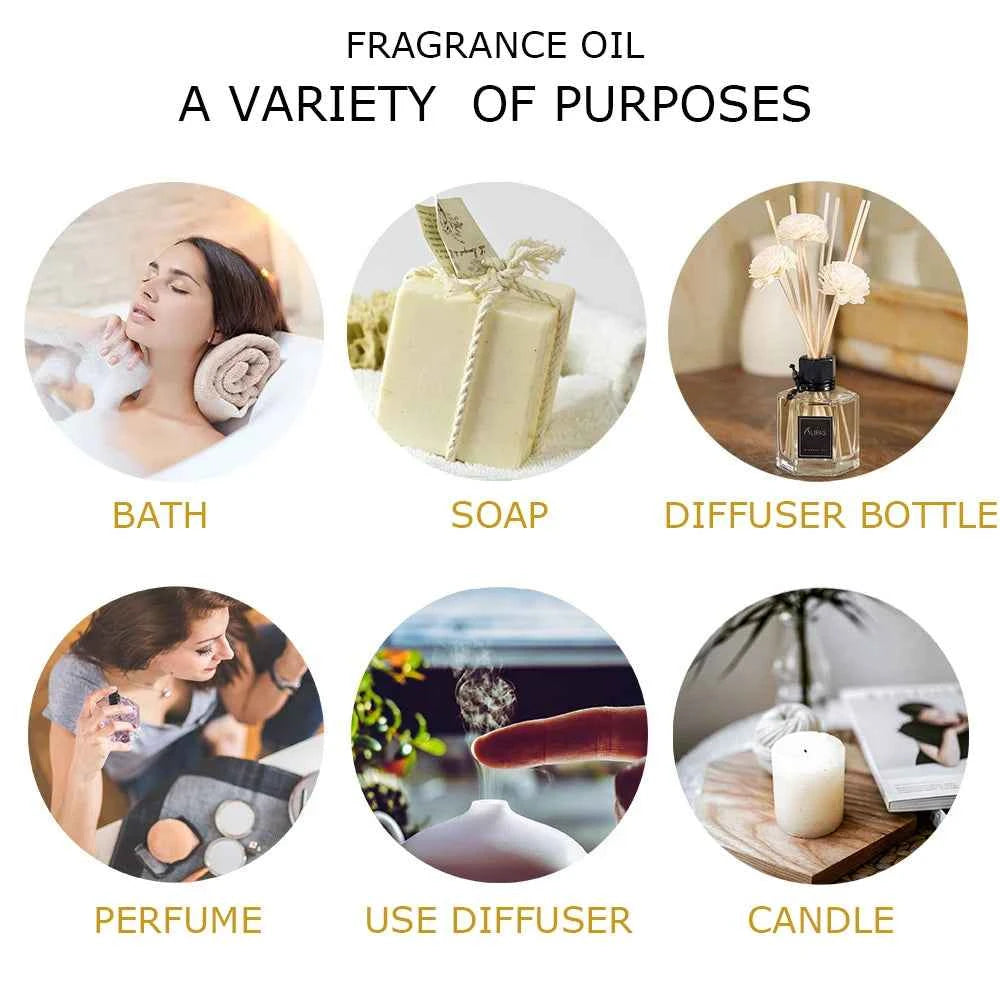 28 Bottle Master Aromatherapy Suite – 100% Pure Botanical Library with Targeted Synergy Blends