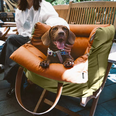 Luxury Faux Leather Pet Car Seat & Travel Bed by Snagg A Pet Seat