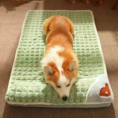 Orthopedic Dog Bed by Snagg A Pet Bed