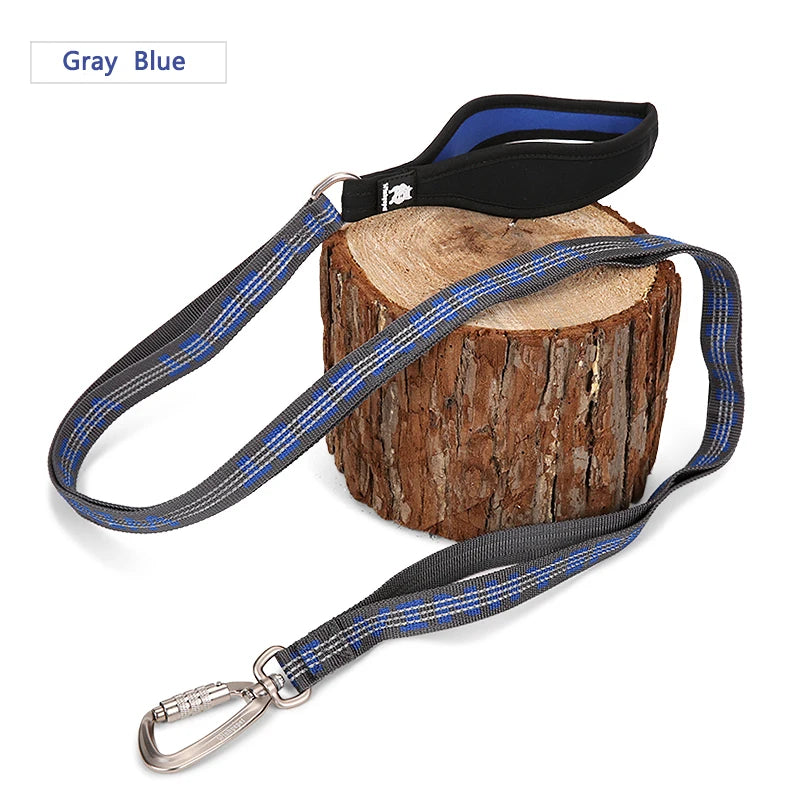 Heavy-Duty Reflective Dog Leash with Carabiner by Snagg A Leash