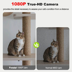 8L Automatic Cat & Dog Feeder with 1080p Camera - SnaggIt