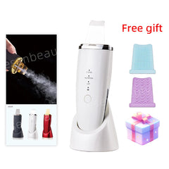 Ultrasonic EMS Skin Scrubber