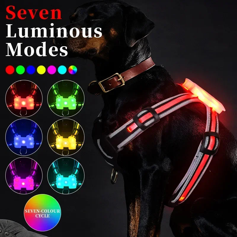 Adjustable LED Dog Harness – Rechargeable & Waterproof by Snagg A Harness