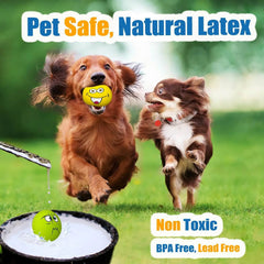 6PCS Latex Squeaky Dog Balls - SnaggIt