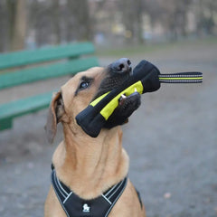 Dog Training Snack Bag by Snagg A Bag