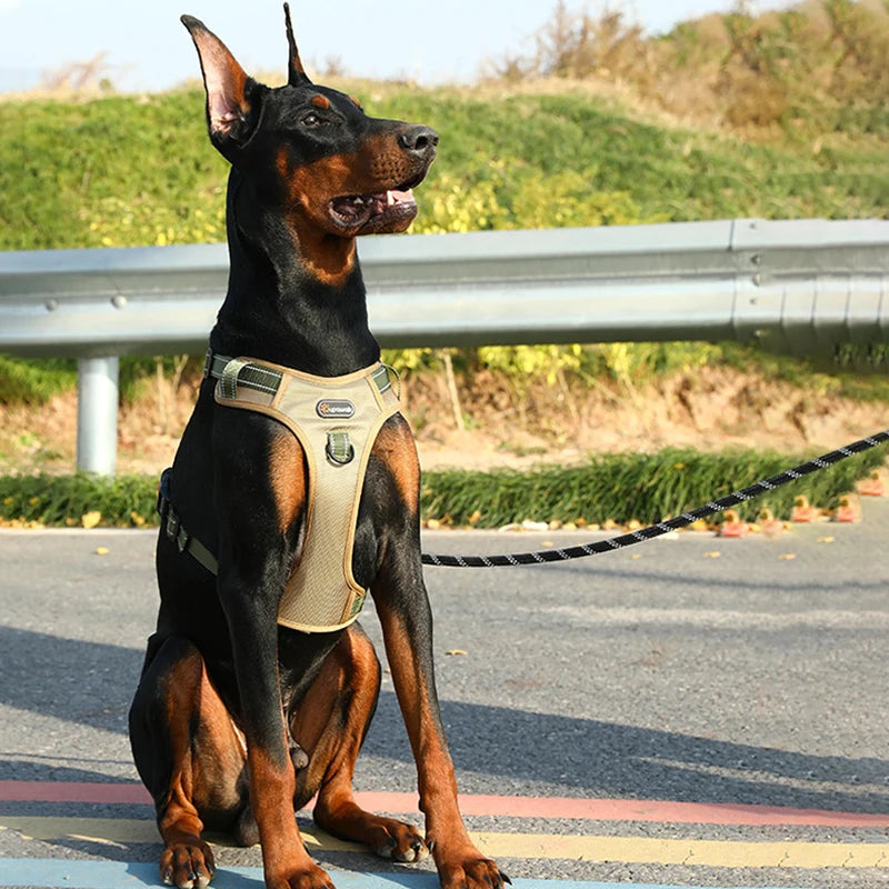 Adjustable Reflective Dog Harness by Snagg A Harness