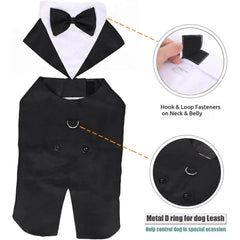 Dog Tuxedo Costume - SnaggIt