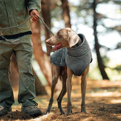 Autumn & Winter Warm Dog Jacket - SnaggIt