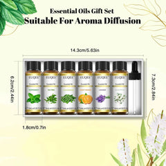 6 Piece Essential Oil Collection – 100% Pure Natural Aromatherapy Set for Diffusion & DIY Wellness