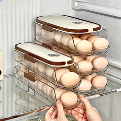 Automatic Egg Storage Box by Snagg A Box