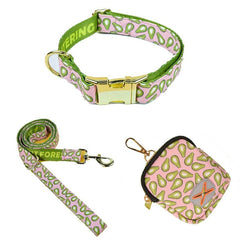 Adjustable Dog Collar & Leash Set with Waste Bag - SnaggIt