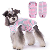 Dog Recovery Suit – Post-Surgery Anti-Licking Bodysuit with Sanitary Panel for Male & Female Dogs