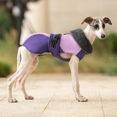 Fur-Collar Dog Vest Jacket – Thick Padded Reflective Winter Coat for Small & Medium Dogs