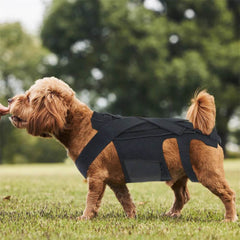 Adjustable Front & Backpack Style for Dogs & Cats - SnaggIt