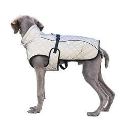 Reflective Outdoor Dog Jacket – Warm Cotton Vest Coat for Large & Medium Dogs (Labrador)