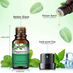 10 Piece Essential Oil Master Set – 100% Pure 10ml Botanical Collection for Diffusion, Spa & Artisanal Crafting