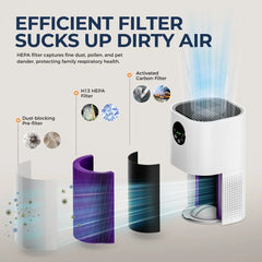 2 in 1 Smart Air Purifier and Humidifier - H13 True HEPA & Ultra Quiet Operation